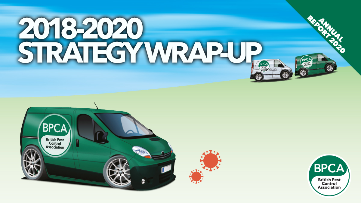 annual-report-strategy